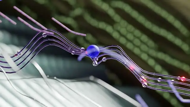 Filaments