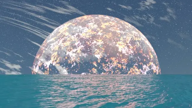 Interplanetary Pollen