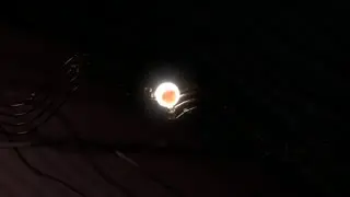 Tripping Balls