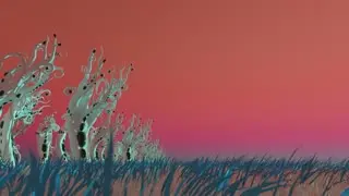 Daylight