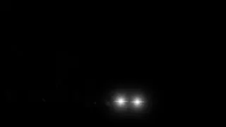 Fireflies