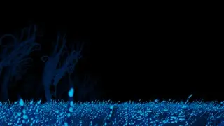 Grass
