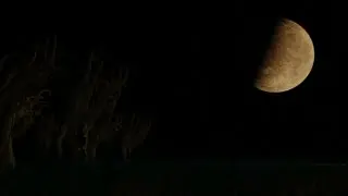 Planet