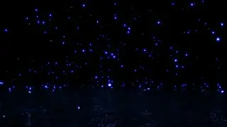 Air Petals
