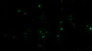 Particles